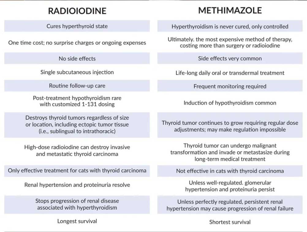 Cat radioactive iodine treatment cost best sale